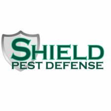 Profile picture of Best Pest Control Near Me