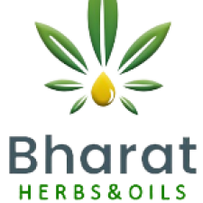 Profile picture of Webdesigninghouse