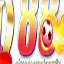 Profile picture of QH88