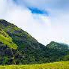 Profile picture of William