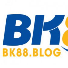 Profile picture of bkblog
