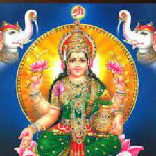 Profile picture of ravimathur