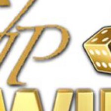 Profile picture of vipwin