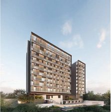 Profile picture of nassim