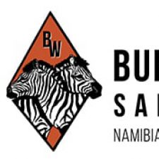 Profile picture of Namibia Wilderness Safari