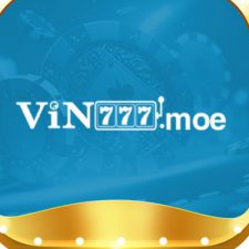 Profile picture of vin moe