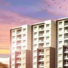 Profile picture of Provident Botanico