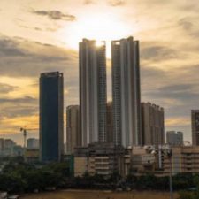 Profile picture of Prestige Pine Forest