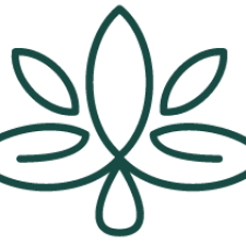 Profile picture of cdscdsv