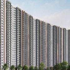 Profile picture of prestigeraintreepark.live