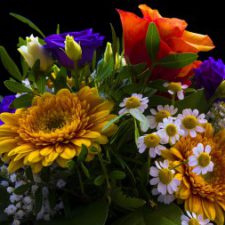 Profile picture of Jaseph