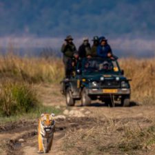 Profile picture of Jim Corbett