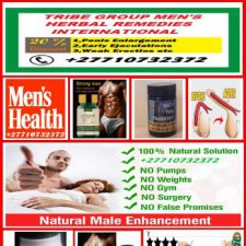 Profile picture of Dr Sheik Zubaili