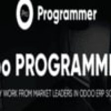 Profile picture of Odoo Programmers