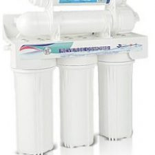 Profile picture of mitrasuaritma