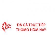 Profile picture of Đá Gà Trực Tiếp Thomo Hôm Nay