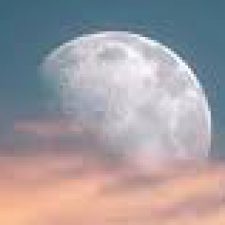 Profile picture of maria