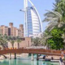 Profile picture of goldendesertsafari