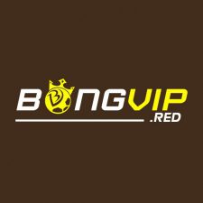 Profile picture of bongvip