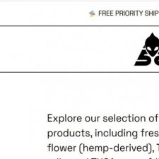 Profile picture of Cathrine Cassin