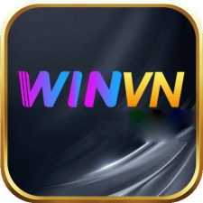 Profile picture of WINVN