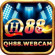 Profile picture of qh Webcam