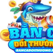 Profile picture of Ban ca doi thuong