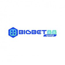Profile picture of bigbet88gift