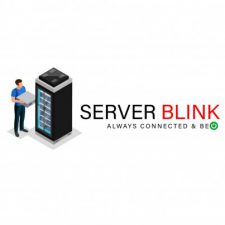 Profile picture of Server Blink