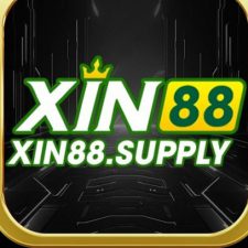 Profile picture of Xin88