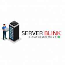 Profile picture of Server Blink
