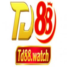 Profile picture of td88