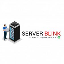 Profile picture of Server Blink