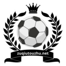 Profile picture of zuqiutouzhunet