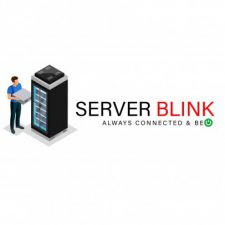 Profile picture of Server Blink