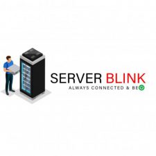 Profile picture of Server Blink