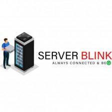 Profile picture of Server Blink