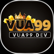 Profile picture of vuadev