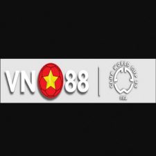 Profile picture of VN