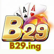 Profile picture of B29