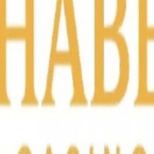 Profile picture of Thabet