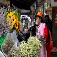 Profile picture of tiemhoatuoihanoi