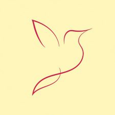 Profile picture of Parwaz