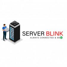 Profile picture of Server Blink