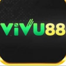 Profile picture of vivulocket