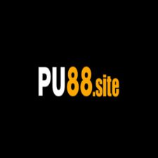 Profile picture of PU88