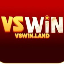 Profile picture of Vswin