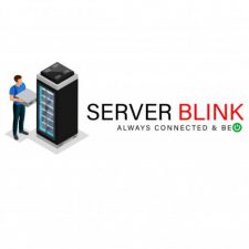 Profile picture of Server Blink