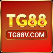 Profile picture of Tg88