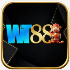 Profile picture of wtinfo